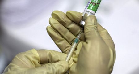 SA’s drug regulator is ‘a pillar of public health’: What is it and how does it work?