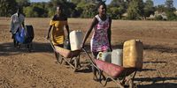 Matimu Nkuna, Hlantela Mabasa and Pretty Nkuna travel home after filling up their containers at a communal borehole. They make this long trip at least three times a day in order to ensure their households have enough water for drinking and other essential uses. (Photo: Lucas Ledwaba / Mukurukuru Media)