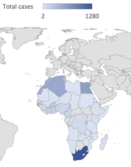 Escalation of Middle East hostilities likely to drive African economies and investment into chaos
