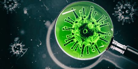 The reader’s and viewer’s guide to pathogen literature