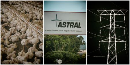 The Finance Ghost: Eskom is leading the poultry industry to the slaughter