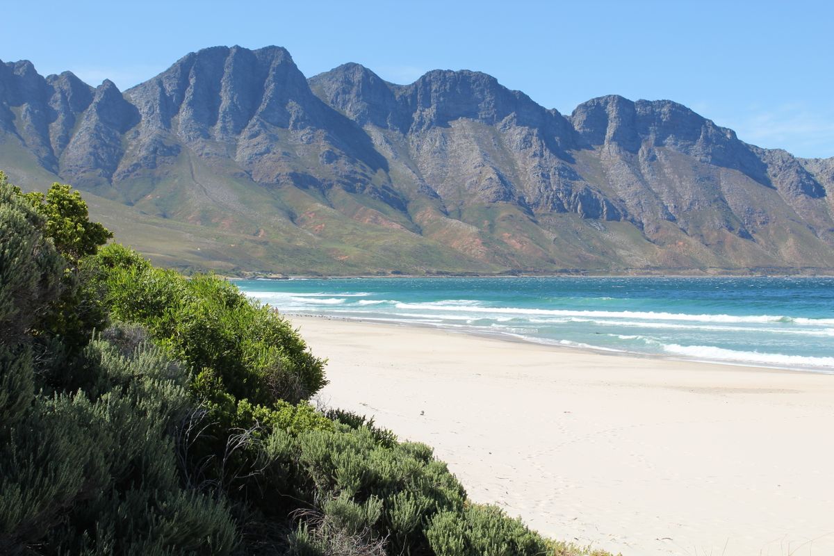 Rooi Els: Where ‘back to basics’ never looked or felt better