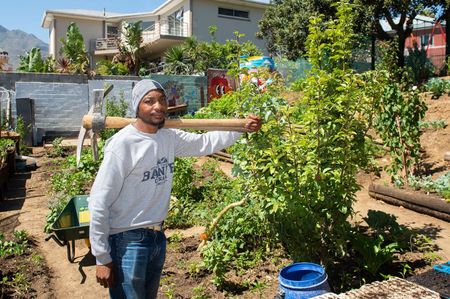 Cape Town jobs for homeless programme in limbo as stimulus funding ends