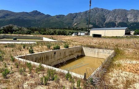 Swimming SA concedes SIU requested meeting over Franschhoek millions