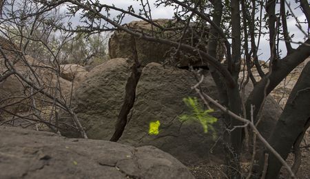 Marikana: The investigation's integrity compromised as Small Koppie's crime scene defaced