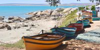 Paternoster in all of its vivid colours. Photographer: Annie Nicolson