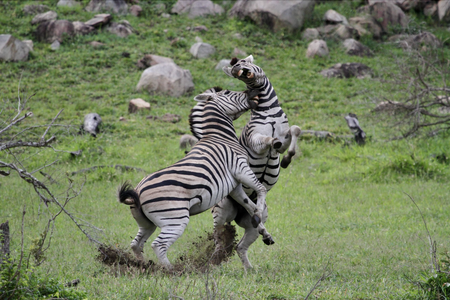 I have a picture for you! 26 July-01 August 2025