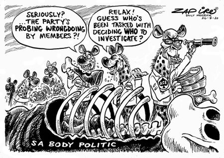Party Probe