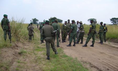 DRC prioritises oil over conservation