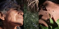 2026 Sony World Competition:Enviroment