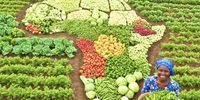 Deserving Africa wants its climate funding