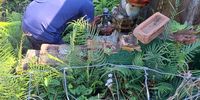 A former engineer (face obscured to conceal his/her identity) inspects pipeline valves in the Parlock area that appeared to have been tampered with (Supplied)