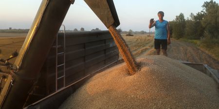 War-torn Ukraine experiences surprisingly ‘low return’ on its African investment