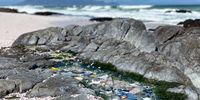 We can no longer separate ocean conservation from waste management infrastructure, if we are serious about eradicating plastic pollution. West Coast.</p>
<p>