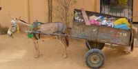 Donkey cart. Image: mikepinkerton4x4 / Pixabay