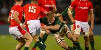 Pieter-Steph du Toit of the Springboks tackles Liam Williams of Wales  during the 2nd Castle Lager Incoming Series test match between South Africa and Wales at Toyota Stadium on July 09, 2022 in Bloemfontein, South Africa. (Photo: Gordon Arons/Gallo Images)