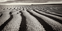 Patterns in the Sand. Photographer: Fred Stausebach</p>
<p>P4U_readersubmission_20250418