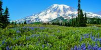 Mount Ranier – Washington State. Image: Dudley Morrissey