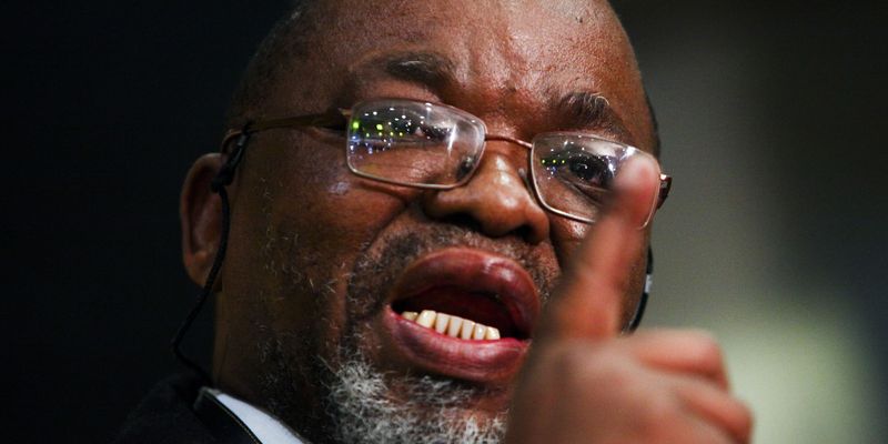 www.dailymaverick.co.za