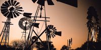 In the thrifty drylands, if it works, it stays. The Karoo remains a stronghold of windpumps.<br>Photos: Chris Marais