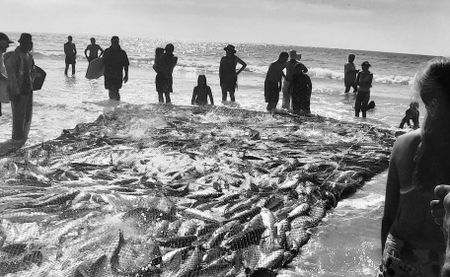 Inside SA’s fishing industry: Aunty Val on being a woman trek netter on the Cape coast