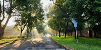 Misty Morning - Brooklyn, Pretoria. Photographer: Marlene Birkholtz