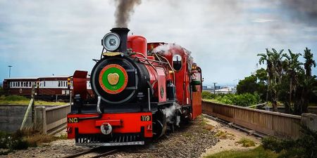 Choo, choo! Nelson Mandela Bay approves bid to bring back the Apple Express