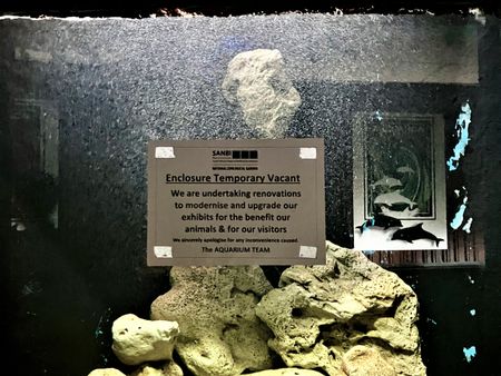 Public anger and frustration at ‘slow’ pace of Pretoria zoo upgrades begins to mount