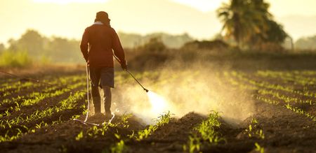 Poison on a plate: Outdated agrichemical legislation means your avocado-topped pizza could be hazardous to your health