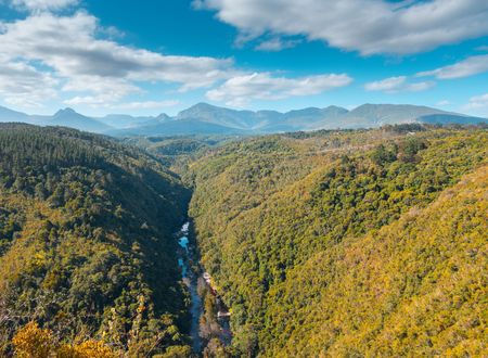 I have a picture for you! 01-07 February 2025