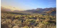 Cedarberg Spring Sunset. Photographer:  Ian Cook