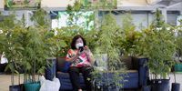 A Thai shopper rests next to cannabis plants at the cannabis trade festival in Samut Prakan province, Thailand, 10 June 2022. Thailand formally legalized the production, distribution, consumption, and possession of cannabis as well as decriminalized and removed marijuana and hemp from the country's narcotics list on 09 June 2022, a historic move that ended decades of prohibition, allowing people to grow the plant for personal consumption that has been used in traditional medicine, cuisine and police will not arrest those who smoke marijuana at home. However, the extracts of cannabis which contain more than 0.2 percent by weight of THC (Tetrahydrocannabinol), the main psychoactive compound found in marijuana, will still be illegal.  EPA-EFE/RUNGROJ YONGRIT
