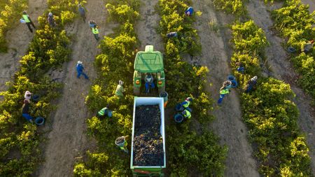 Competition Commission to scrutinise basic food price-gouging during Covid pandemic