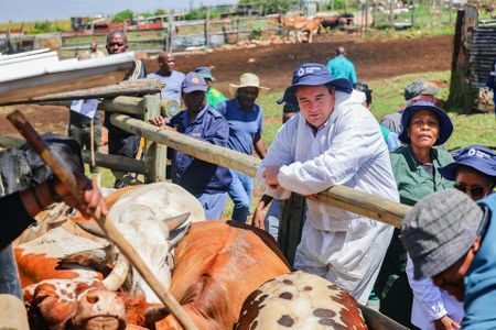 SA farmers can independently vaccinate their livestock against FMD, court rules