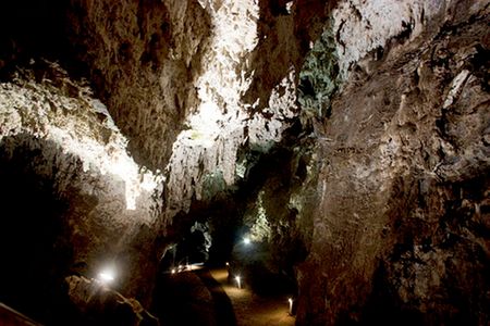 Sterkfontein caves - 75 years of discovery