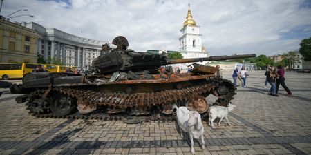 Putin’s triple backfire unites his enemies militarily, politically and economically