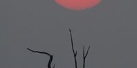 Sunset over Kariba. Photographer: John Barbe