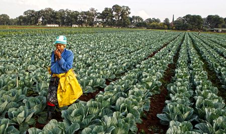 Zuma's attempted miracle: turning land into legacy