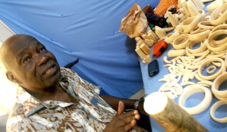 Congolese ivory kingpin wriggles out of yet another arrest