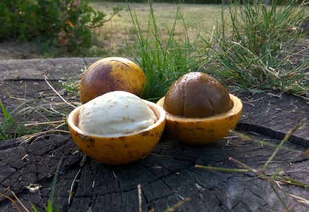 Tapping into ice cream memories
