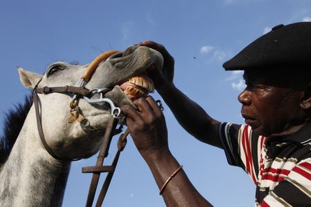 Onderstepoort Biological Products vows to tackle animal vaccine scarcity crisis, ropes in EU experts