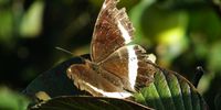 [Soaking up the sun]. Photographer: [John Durno]. 