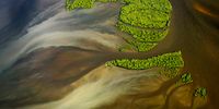 "Mangrove Swirl". An aerial view taken from a helicopter of mangroves in an estuary at Yamba, New South Wales, Australia. © Stuart Chape, Australia, Shortlist, Open, Landscape, 2022 Sony World Photography Awards