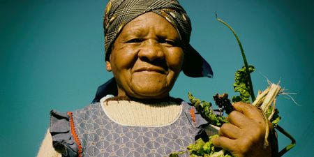 Food gardens and small-scale farmers hold key to food system transformation