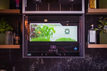 Intelligent Food? SA start-up grows artificial intelligence in urban home farming