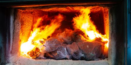 As 42 lion carcasses turned to ash, SA’s commitment to end captive breeding hangs in balance