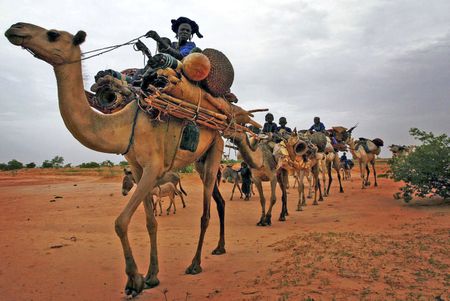 The Tuareg people and the mystery of the Niger convoy