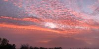 Daybreak over the new Western Cape "Dorp van die Jaar" - Greyton.