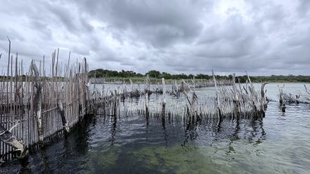 Thonga fishing families count the cost of decades-old eviction from Kosi Bay