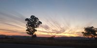 Muldersdrift (Gauteng) autumn sunset. 5 May 2021